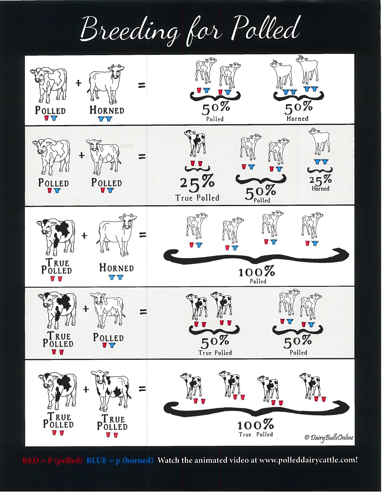 Polled Genetics - genetic transmission and benefits on and off farm ...